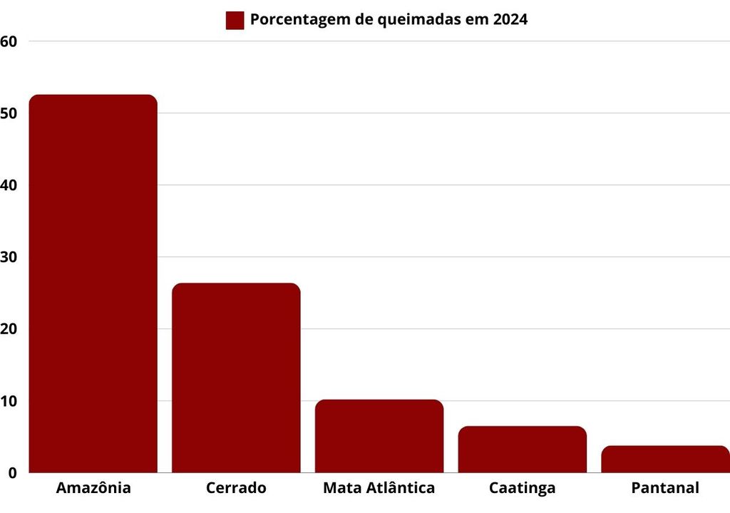 Mil Focos De Inc Ndio Brasil Bate Novo Recorde Nos Primeiros Quatro