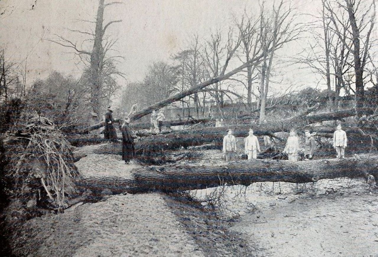 1903 La Tempesta Ulisse E I Suoi Venti Storici