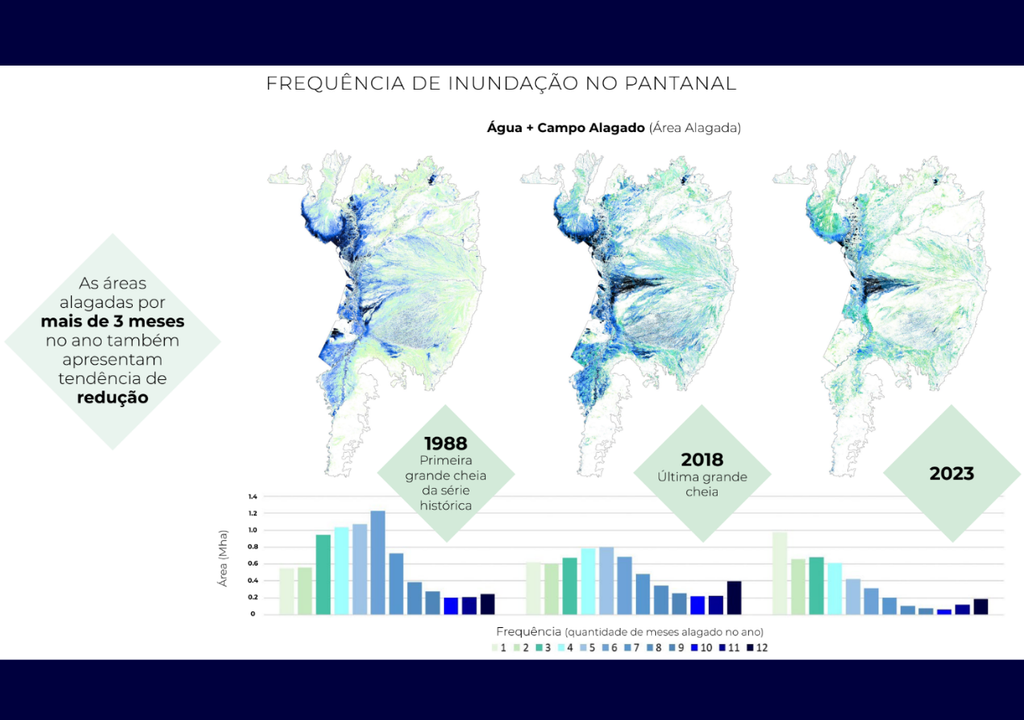 Rea Alagada No Pantanal Reduziu Em Anos Afirma Estudo Do Mapbiomas