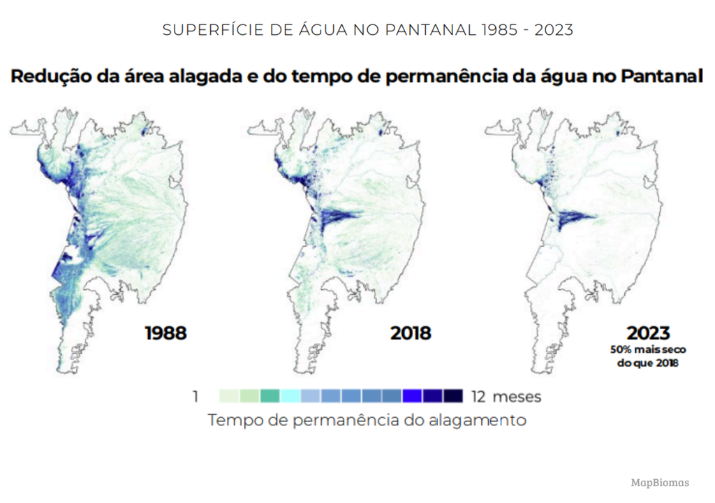 A superfície de água no Brasil reduziu 3 em 2023 o Pantanal sendo