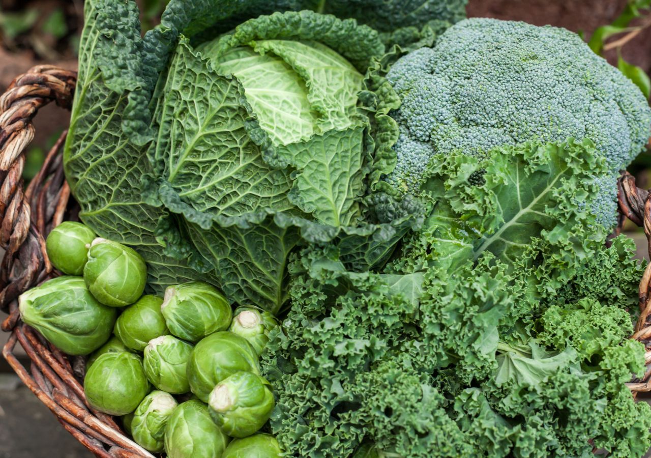 Calendario de siembra de noviembre qué plantar y qué labores tocan en