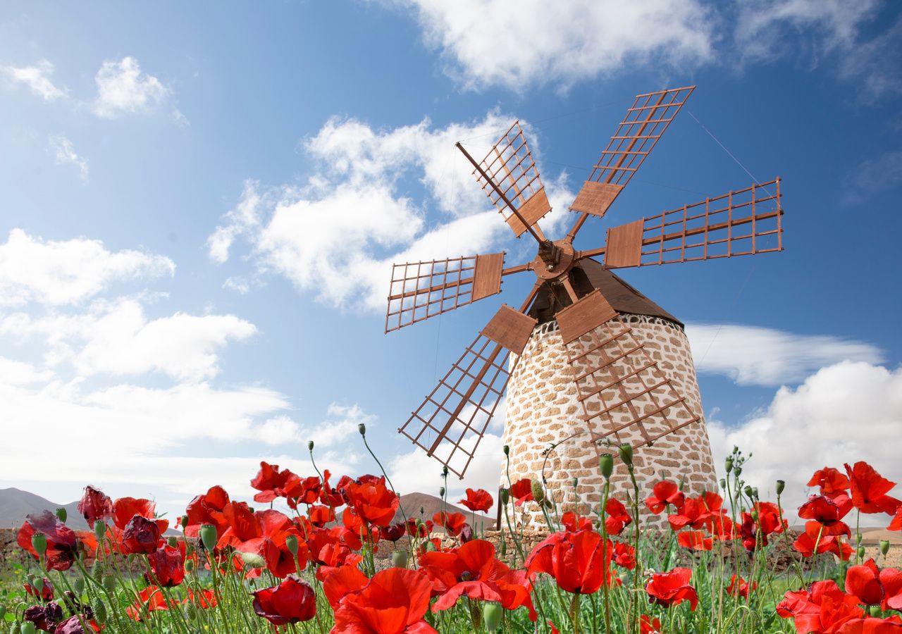 Cuándo empieza la primavera 2024 en España Día y hora del equinoccio