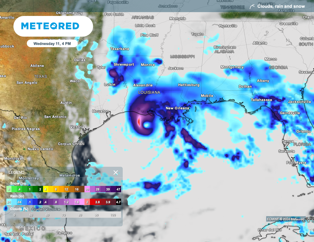 Hurricane Francine Forecast Life Threatening Storm Surge Rainfall