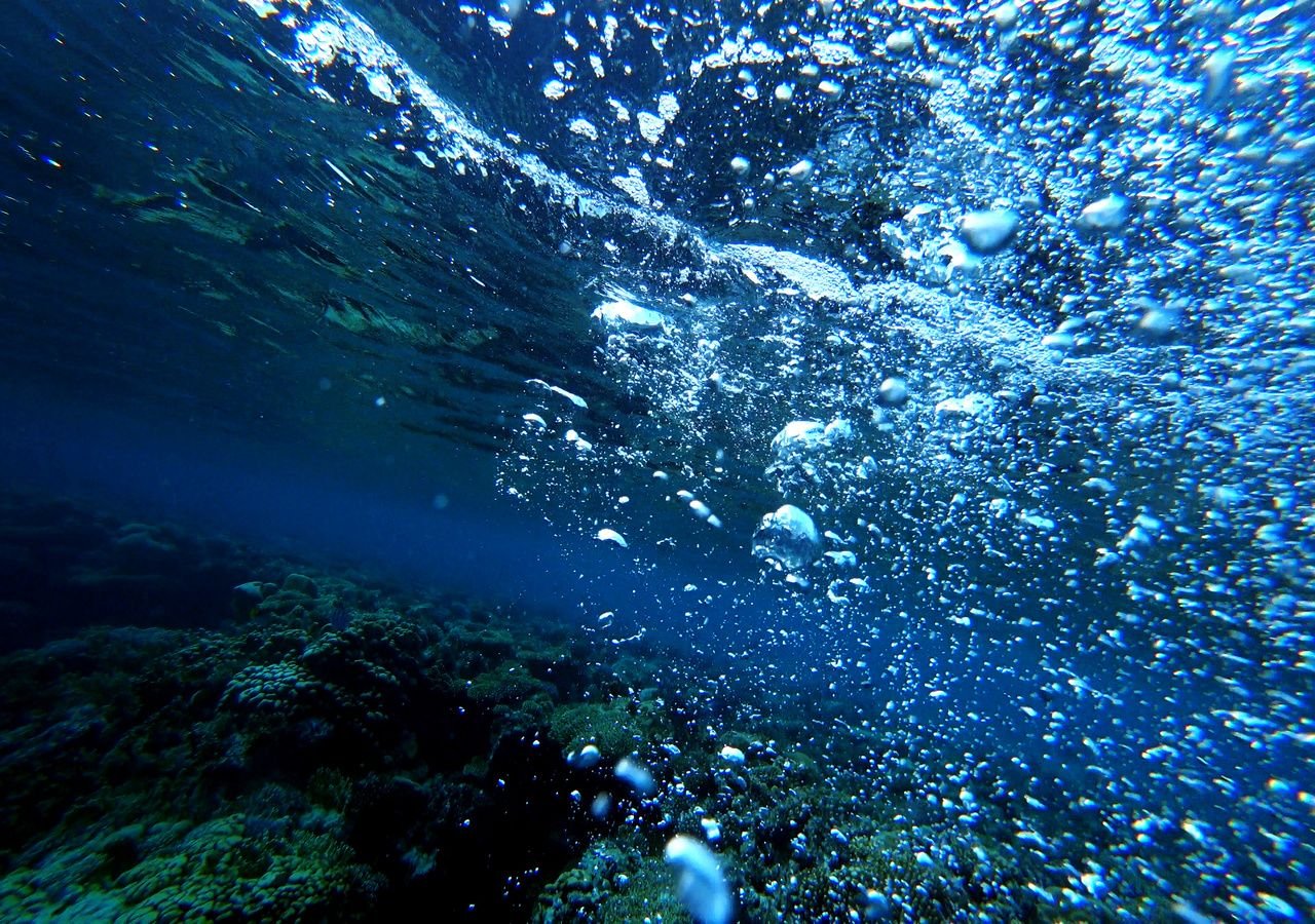 Investigadores Suecos Descubrieron Rara Fuga De Metano En El Mar B Ltico