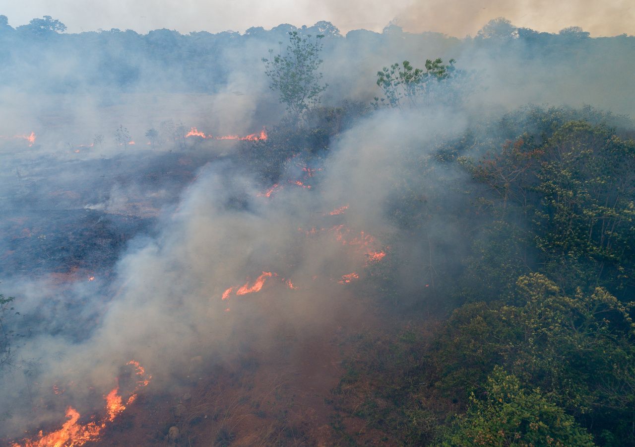 Lo que debes saber sobre la temporada de incendios forestales en México