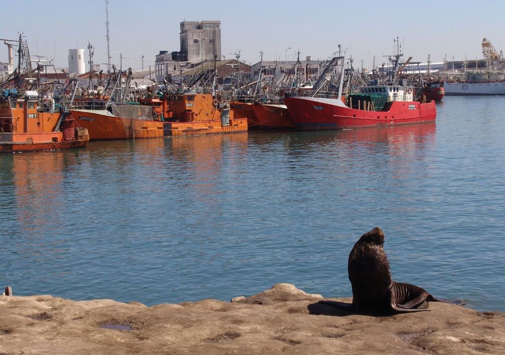 Las 5 Mejores Rutas De Senderismo En Mar Del Plata