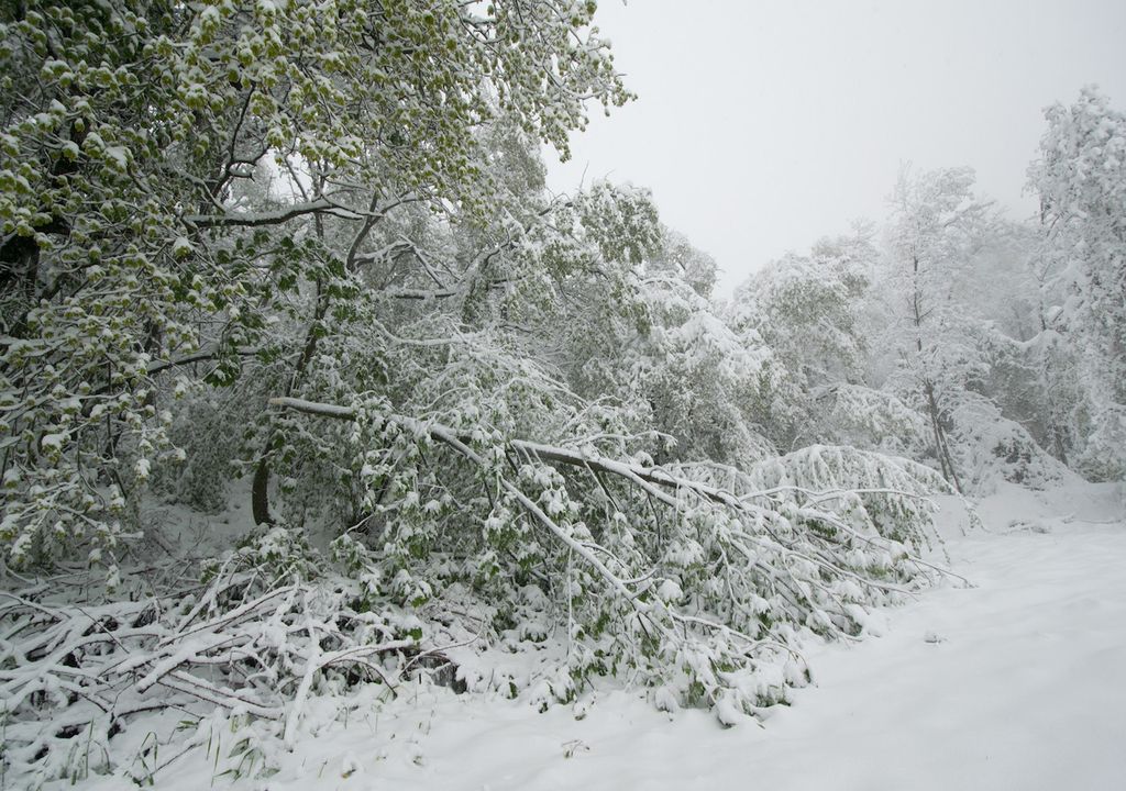 Meteostoria La Neve In Pianura Del 17 18 Aprile 1991 A Quando Il Bis