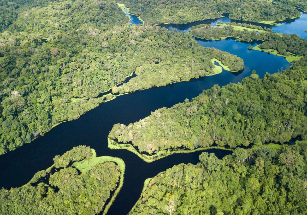 No Dia Mundial dos Rios celebra se a importância da sua preservação