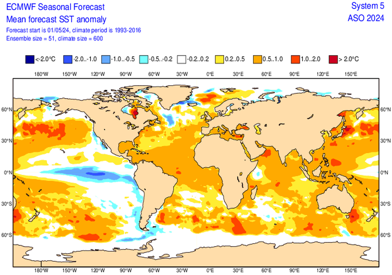 La Organización Meteorologica Mundial pronostica que El Niño dará paso