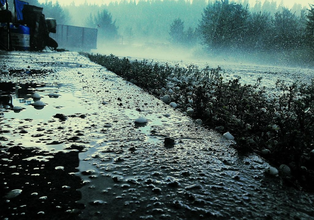 Tormentas De Granizo Pueden Ser M S Intensas Con El Cambio Clim Tico