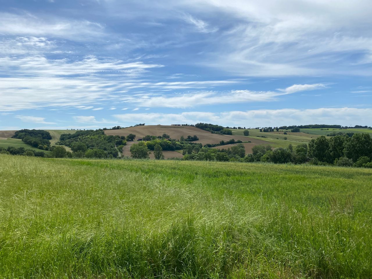 Tendance M T O Fin Mai Soleil Et Chaleur Partout En France