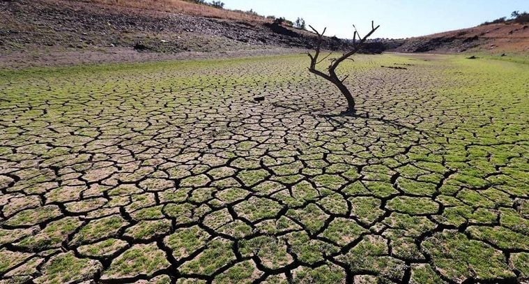 La sequía tiene muchas consecuencias poco conocidas.