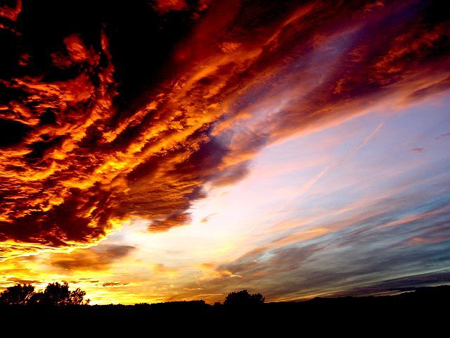 "meteoarte" por un servidor meteocoll