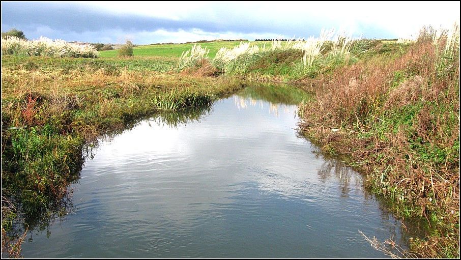 Figura 4. El Arroyo de Irmas a su paso por el término de Ojáiz. Esta sencilla corriente de agua ya ha causado algunos problemas importantes con sus crecidas, influenciadas por el régimen de precipitaciones. La mayor avenida se produjo a finales del mes de Agosto de 1982.