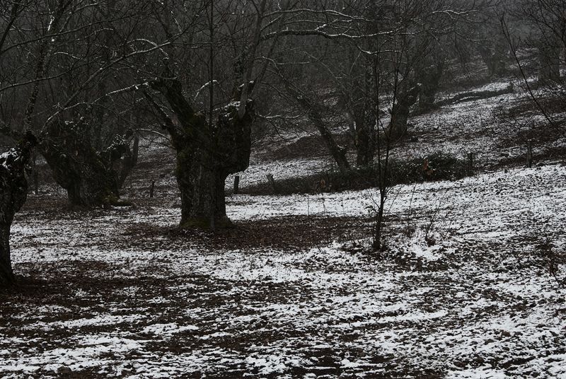 6ª Posición (B): En blanco y negro de Luis Márquez Nogales, meteonuba