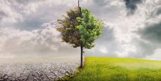 Anteproyecto de Ley de Cambio Climático y Transición Energética
