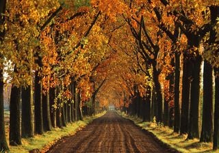 ¿Cómo es el otoño en Argentina?