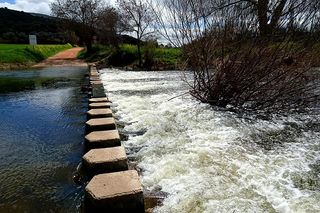 ¿Una primavera cálida? La fiabilidad de las estacionales