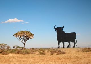 ¿Te imaginas a la ciudad de Madrid en medio de una sabana?