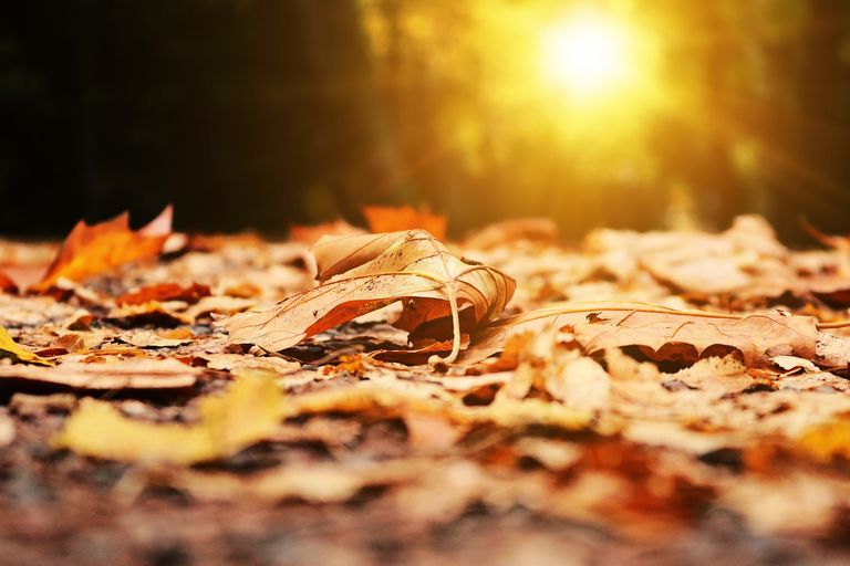Es importante estar, al menos dos horas al día, expuestos a la luz natural Es importante estar, al menos dos horas al día, expuestos a la luz natural
