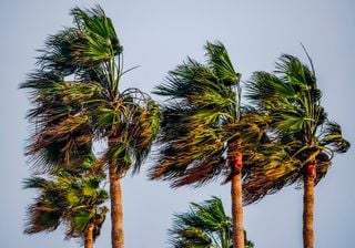 ¿Por qué el viento silba?