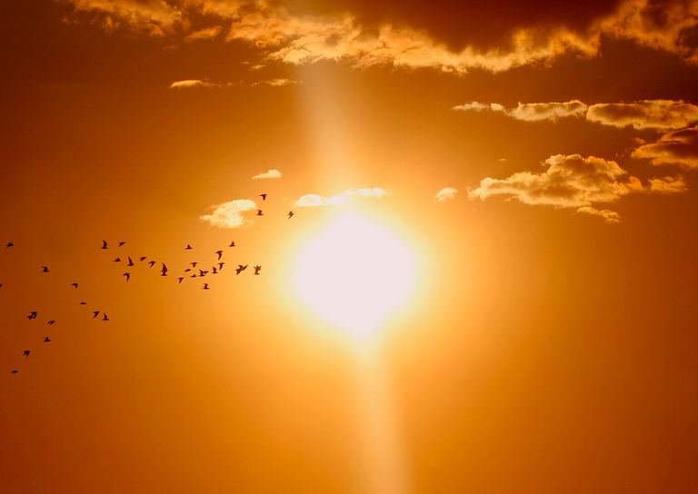 Sol Sol