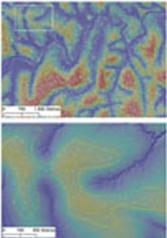 Figura-2 Distribuciones de los montículos de las termitas. Foto: Nature Communications y Shaun Levick