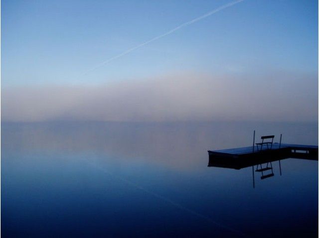 Tom Achtor por Niebla de otoño 2ª Posición: Tom Achtor por Niebla de otoño