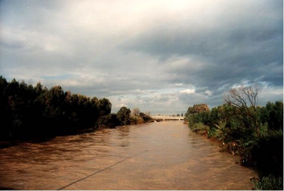 Río Guadalhorce poco antes de su desembocadura Río Guadalhorce poco antes de su desembocadura