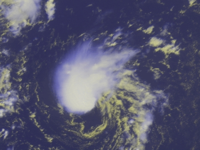 Secuencia del INVEST 92 L con rotación clara y signos de organización. Fuente: EUMETSAT Secuencia del INVEST 92 L con rotación clara y signos de organización. Fuente: EUMETSAT