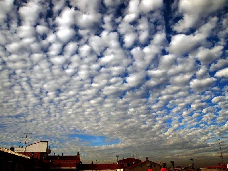 Cielo aborregado de José Luis Martínez Navarro