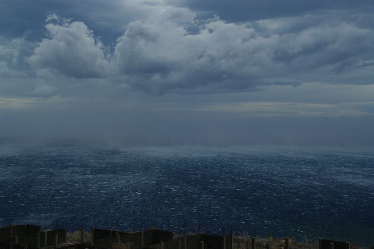 Temporal de José Luis Martínez Navarro