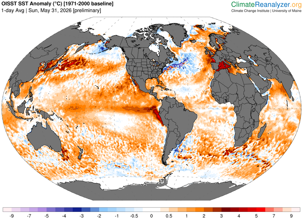Anomalías de la temperatura superficial del agua del mar con anomalías frías/cálidas en tonalidades azules/rojas a fecha de 31 de mayo de 2026. Climate Reanalyzer.