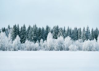 -10, -20 degrés, après la neige, les minimales pourraient plonger