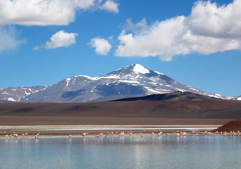 Laguna Brava