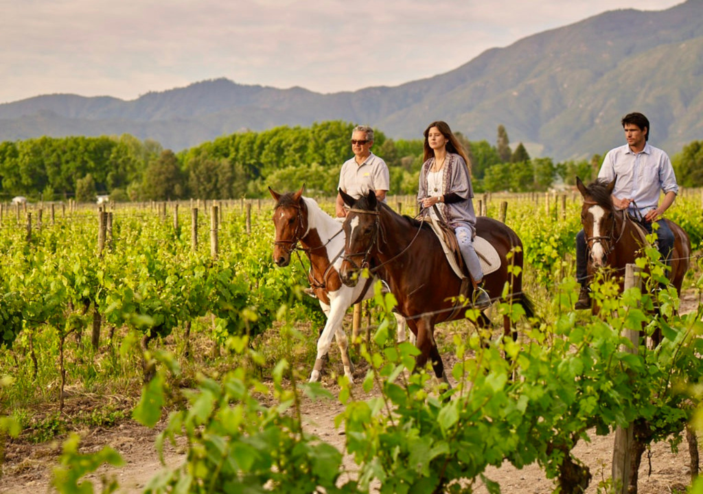 Valle de Colchagua, Chile.