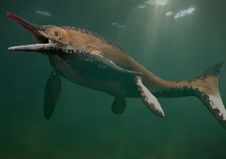  Encuentran el fósil de un 'Dragón marino' de 10 metros de largo