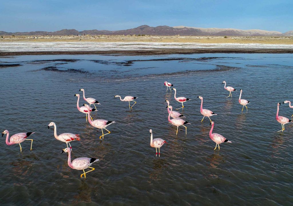 Reserva Natural Laguna de los Pozuelos Reserva Natural Laguna de los Pozuelos
