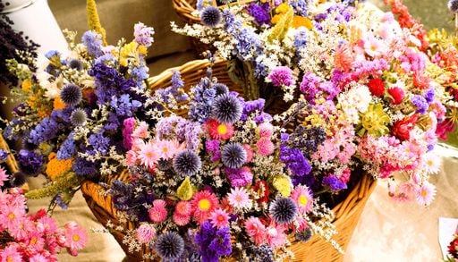 10 piante e fiori essiccati perfetti per decorare casa in autunno