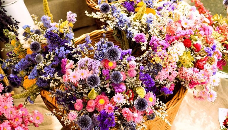 10 piante e fiori essiccati perfetti per decorare casa in autunno