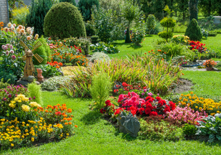10 plantas ‘todo terreno': convierte tu jardín en un espacio invencible ante el calor extremo 