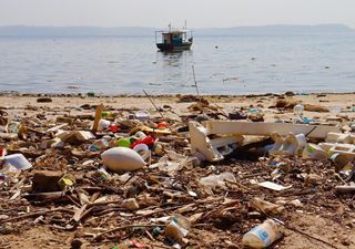 100 toneladas por dia! Barreira para conter o lixo foi instalada na Baía de Guanabara no Rio de Janeiro