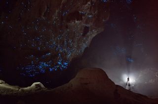 El cielo estrellado en Hallow Hill