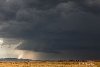 Supercélula clásica ciclónica con RFD “caníbal”. Lécera (Zaragoza). 7-Sep-2014. 