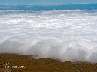 Resultados del concurso fotográfico de Meteored de junio 2010