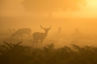 Meteorología (VII): la visibilidad y los factores meteorológicos que influyen en ella
