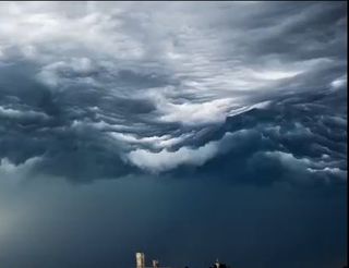 Undulatus Asperatus: más cerca de la adopción oficial