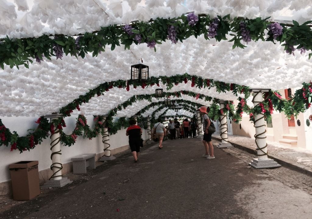 Promete ser ainda mais especial. Foto. Wikimedia // Rui Beja