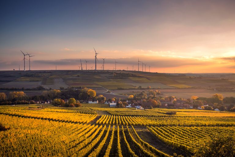 Granja eólica. Foto de Karsten Würth (@inf1783) en Unsplash Granja eólica. Foto de Karsten Würth (@inf1783) en Unsplash