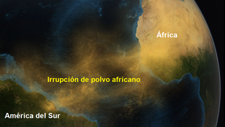 El polvo africano mantiene la floración en la región del Amazonas